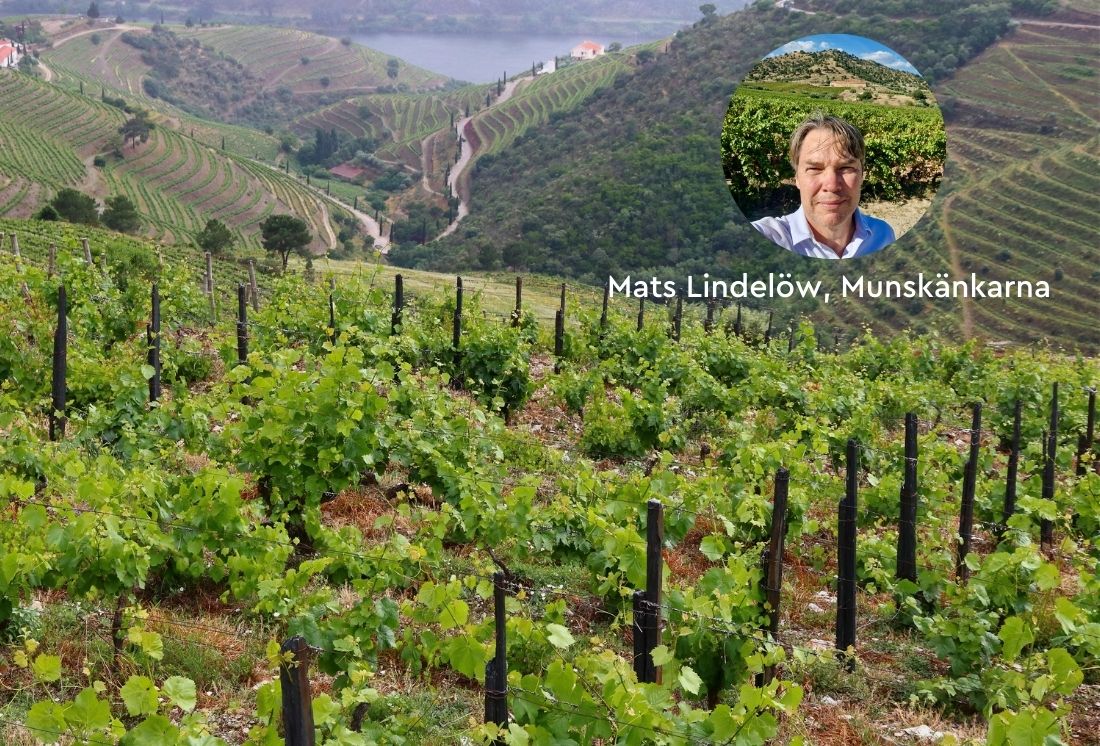 Vi träffar Mats Lindelöw från Munskänkarna om vin från Portugal